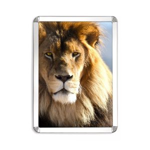 Expox Snap Frame, 35.5" x 25.5", Silver